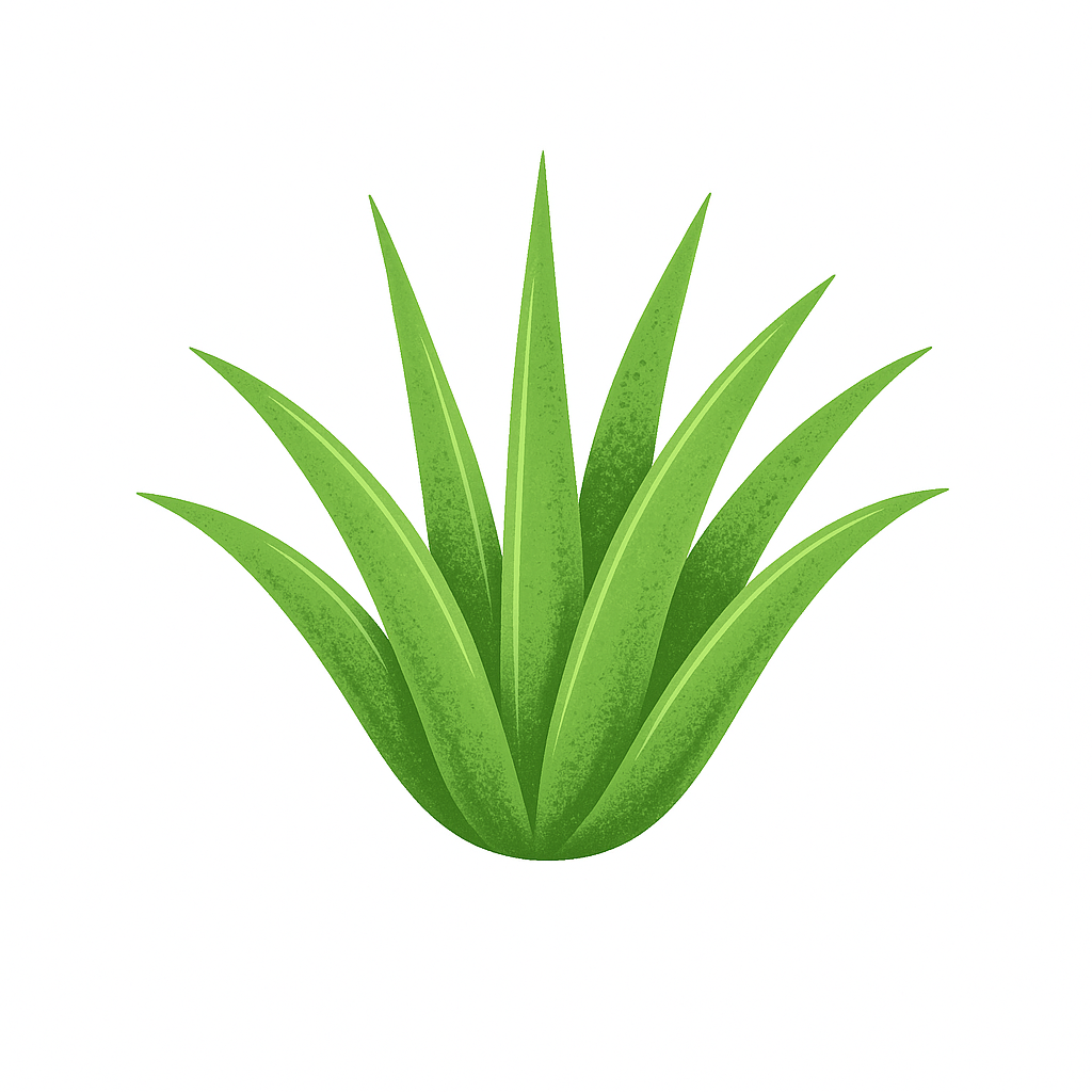 Gebäudereinigung Vera Logo